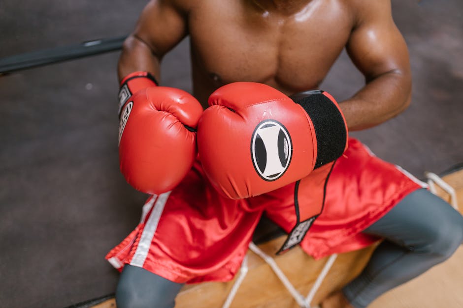 Are Boxers Loud? Barking Behavior Guide