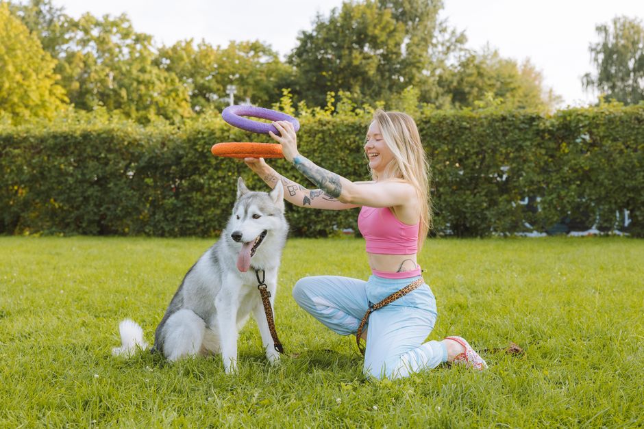 Siberian Husky Exercise Needs – Daily Guide