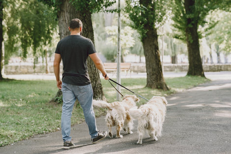 How Much Exercise Does a Golden Retriever Need?
