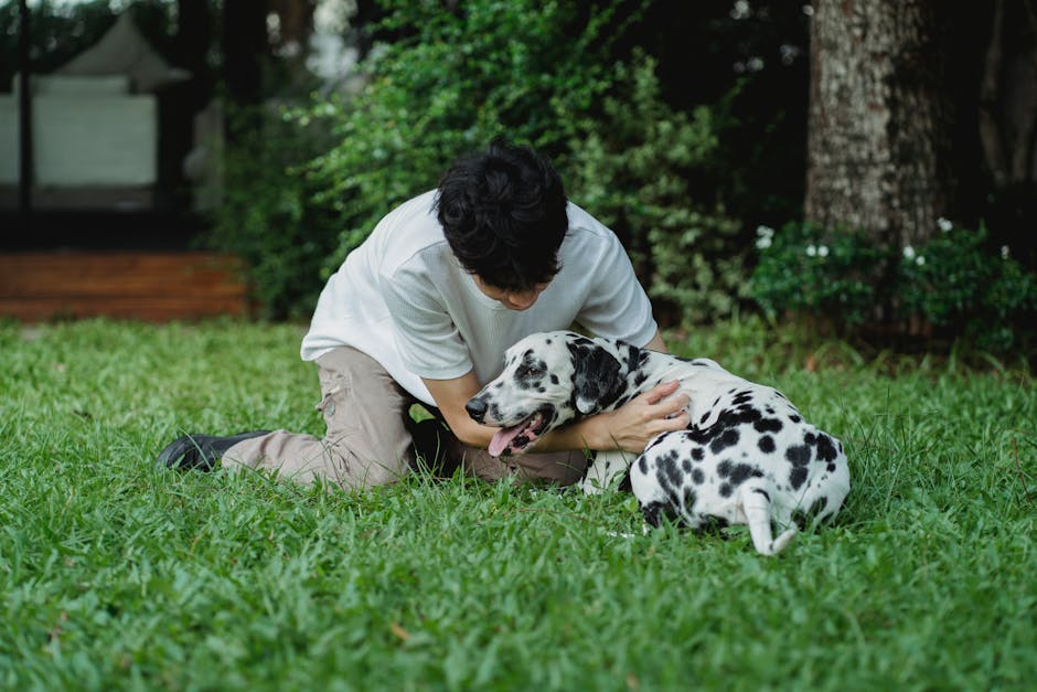 How Much Exercise Does a Dalmatian Need?